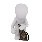 Unsere Katze